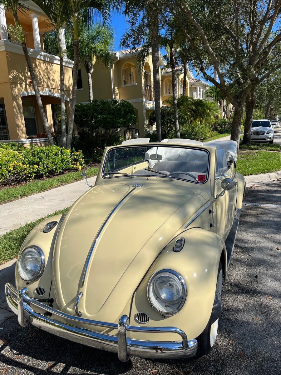 1964 Volkswagen Beetle