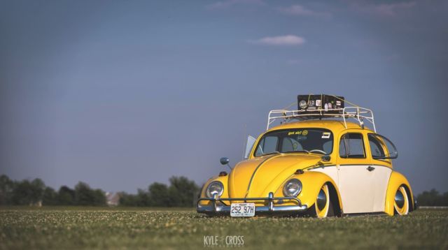 1964 Volkswagen Beetle - Classic