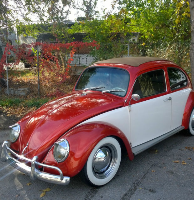 1964 Volkswagen Beetle - Classic