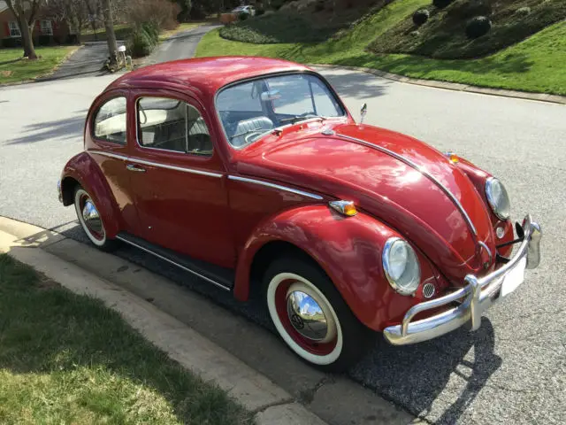 1964 Volkswagen Beetle - Classic