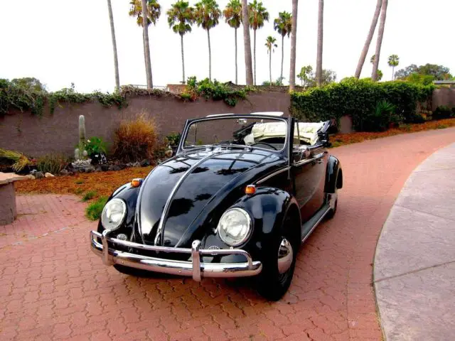 1964 Volkswagen Beetle - Classic