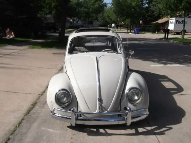 1964 Volkswagen Beetle - Classic