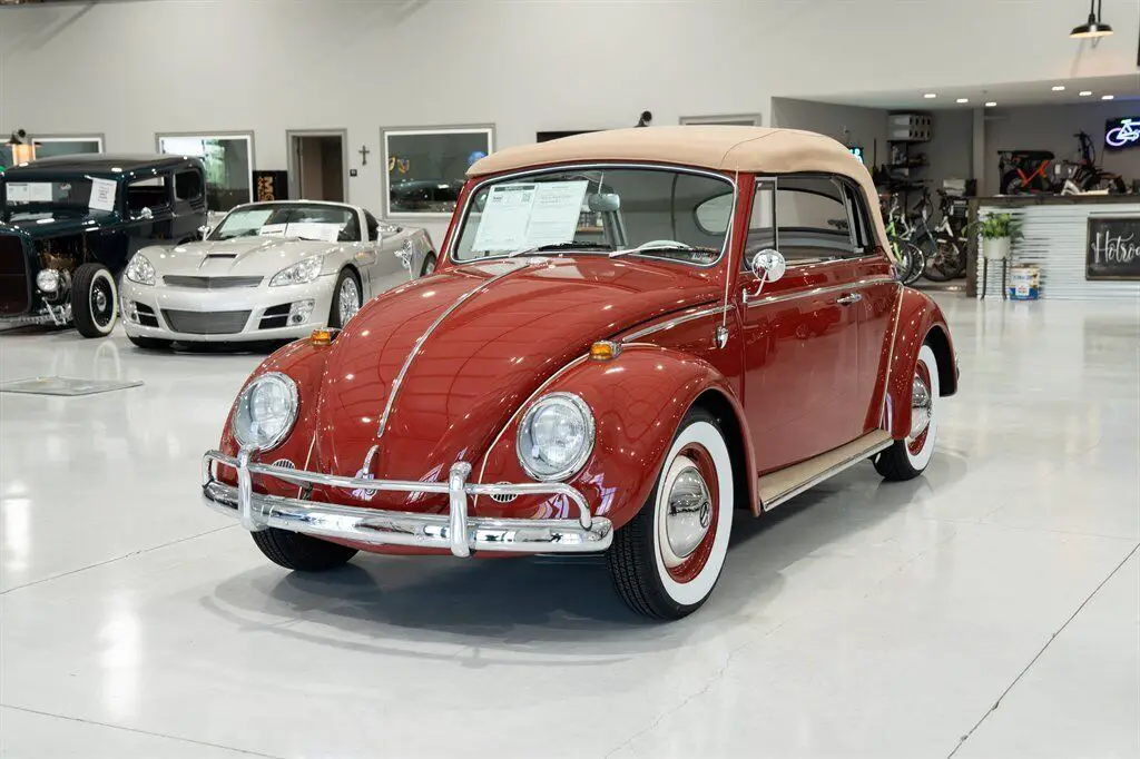 1964 Volkwagen Beetle - Classic