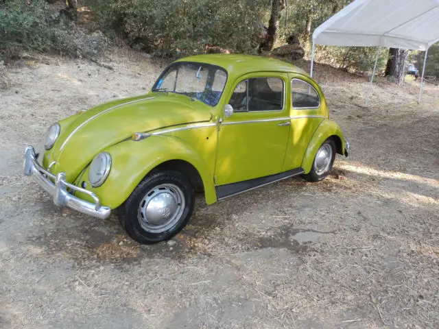 1964 Volkswagen Beetle - Classic