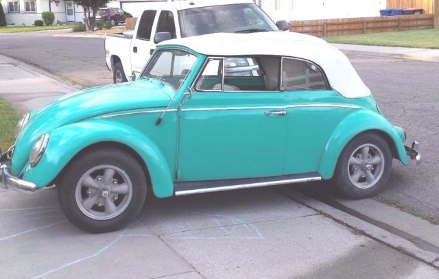 1964 Volkswagen Beetle - Classic