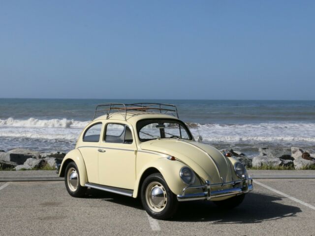 1964 Volkswagen Beetle - Classic