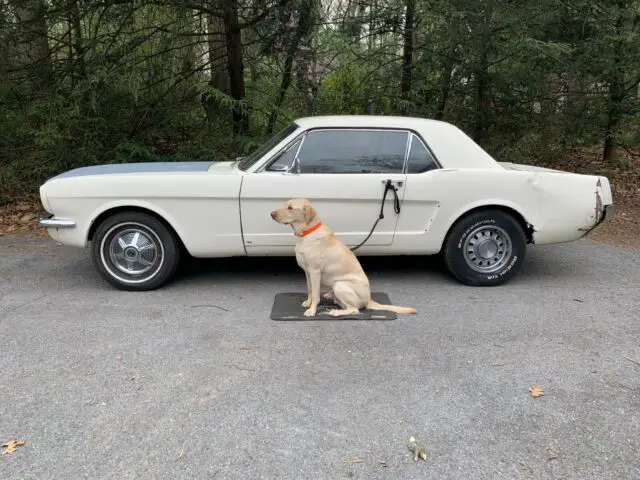 1965 Ford Mustang