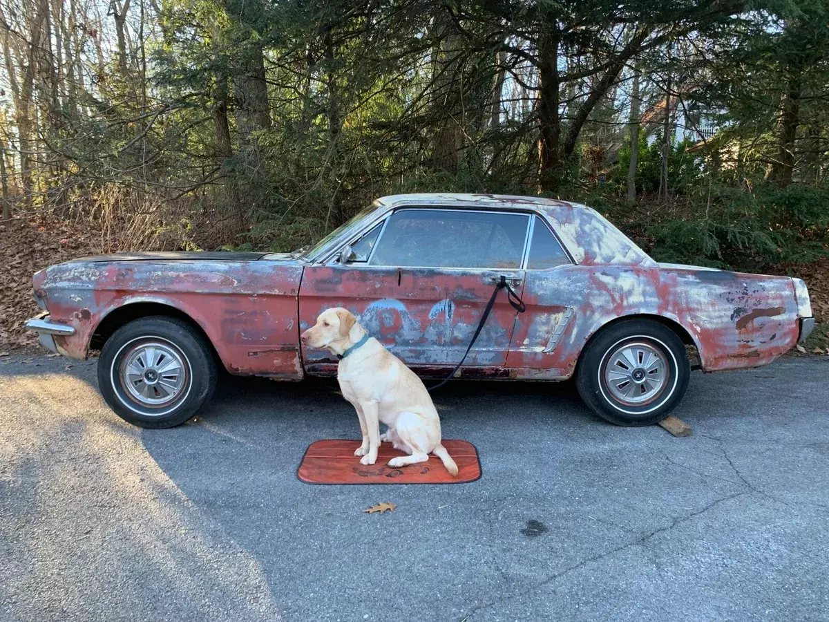 1965 Ford Mustang base