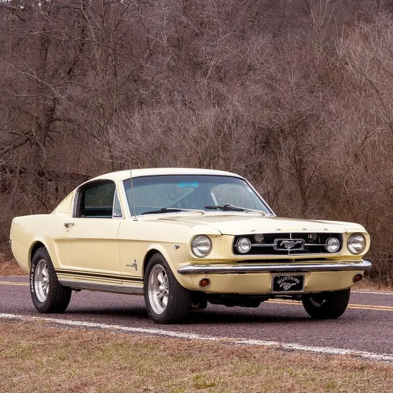 1965 Ford Mustang Mustang 2+2 Fastback