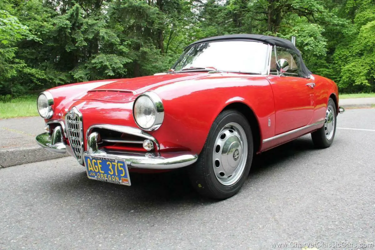 1965 Alfa Romeo Giulia Spider Veloce. Gorgeous! See VIDEO