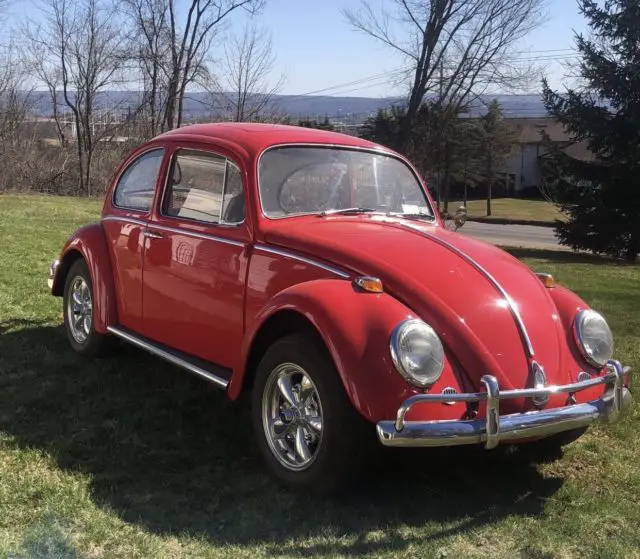 1965 Volkswagen Beetle - Classic