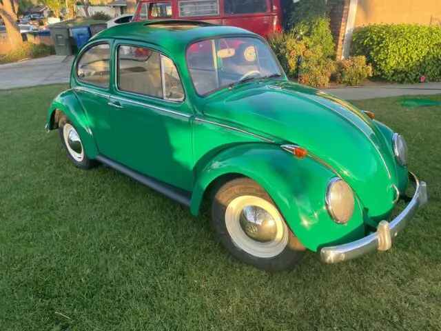 1965 Volkswagen Beetle - Classic