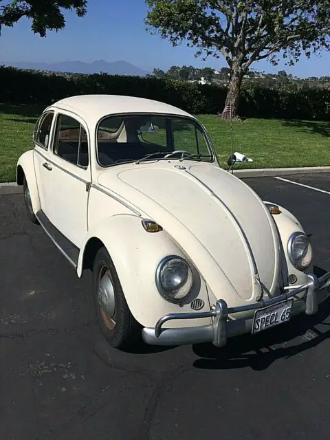 1965 Volkswagen Beetle - Classic