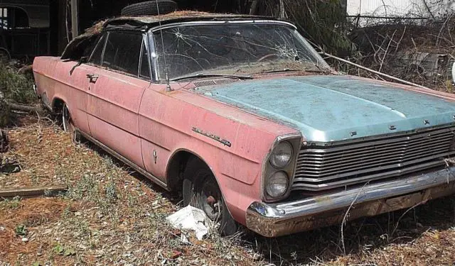 1965 Ford Galaxie