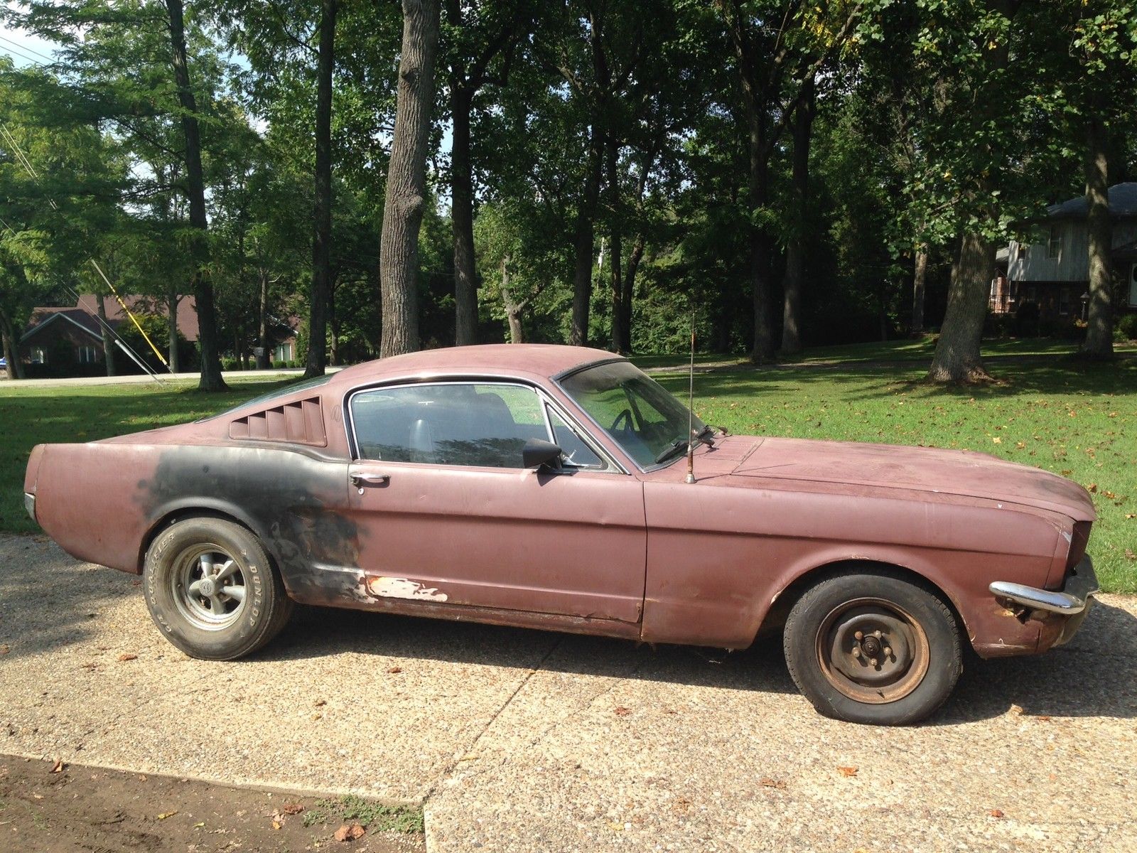 1965 Ford Mustang 2+2