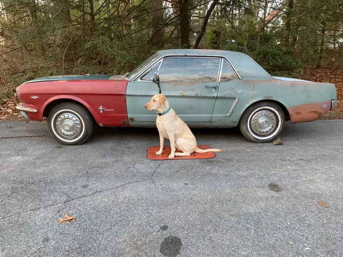 1965 Ford Mustang