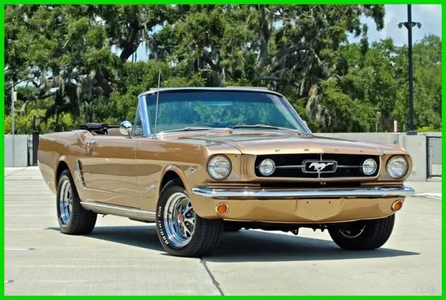 1965 Ford Mustang Custom / 289 V8 / NUMBERS MATCHING