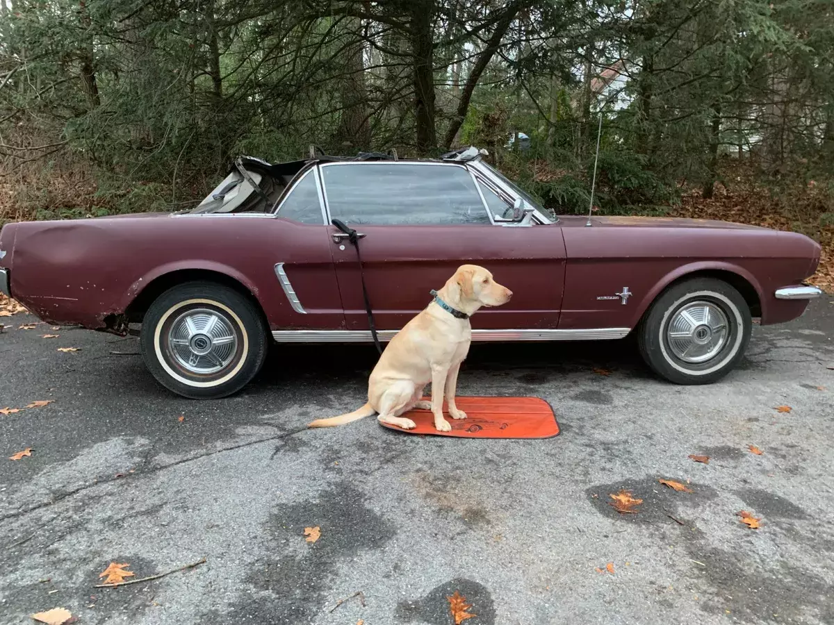 1965 Ford Mustang convertible