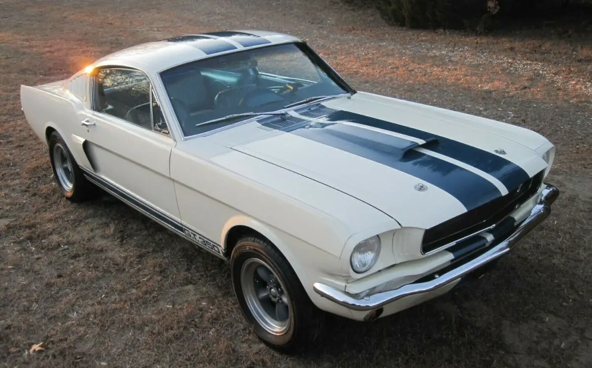 1965 Ford Mustang fastback GT350 tribute