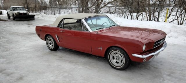 1965 Ford Mustang