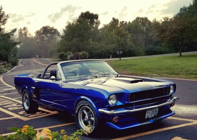 1965 Ford Mustang GT 350  Tribute Car
