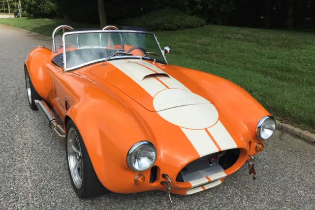 1965 Shelby Backdrop Cobra