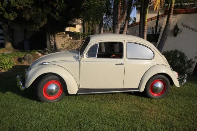 1965 Volkswagen Beetle - Classic