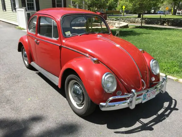 1965 Volkswagen Beetle - Classic