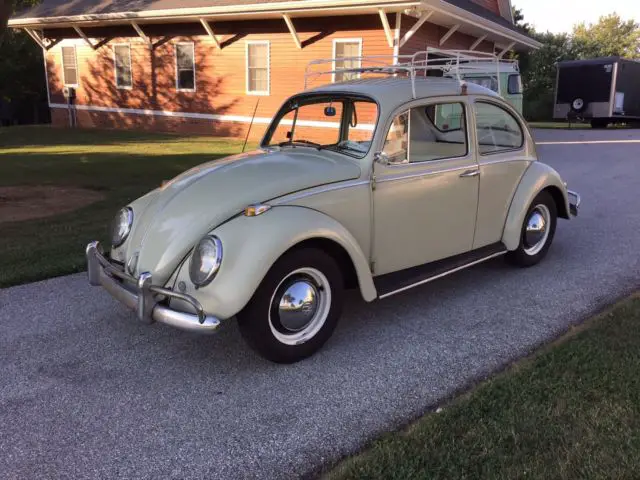 1965 Volkswagen Beetle - Classic