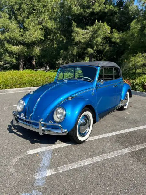 1965 Volkswagen Beetle