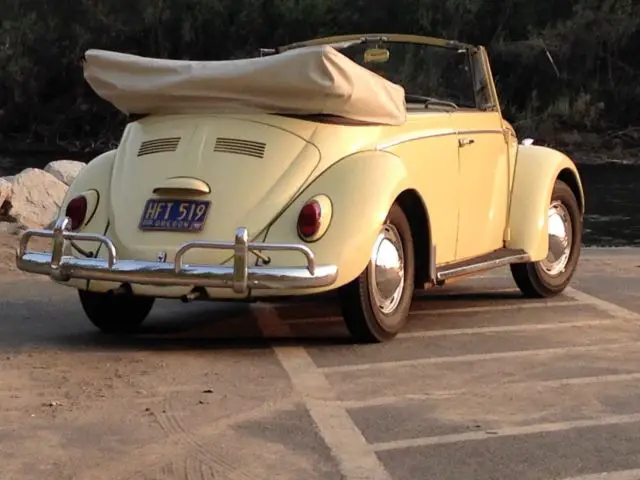 1965 Volkswagen Beetle - Classic