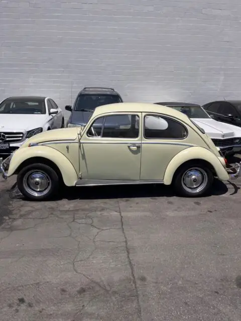 1965 Volkswagen Beetle (Pre-1980) 1.8T Wolfsburg Edition Hatchback 2D