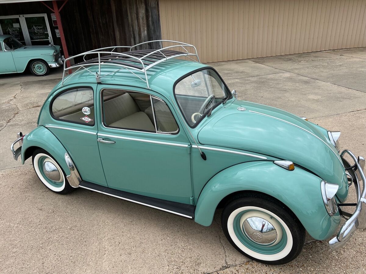 1965 Volkswagen Beetle beetle