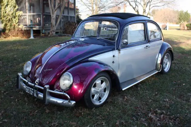 1965 Volkswagen Beetle - Classic