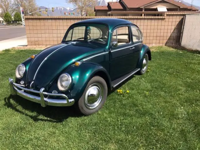 1965 Volkswagen Beetle - Classic