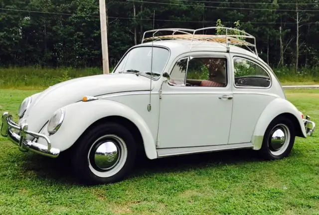 1965 Volkswagen Beetle - Classic