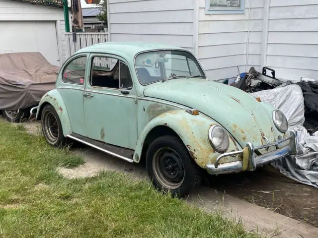 1965 Volkswagen Beetle - Classic