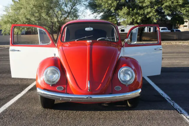 1965 Volkswagen Beetle - Classic