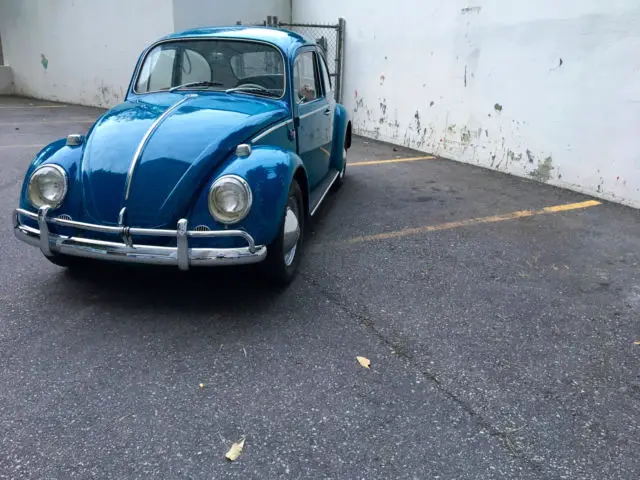 1965 Volkswagen Beetle - Classic