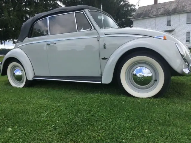 1965 Volkswagen Beetle - Classic