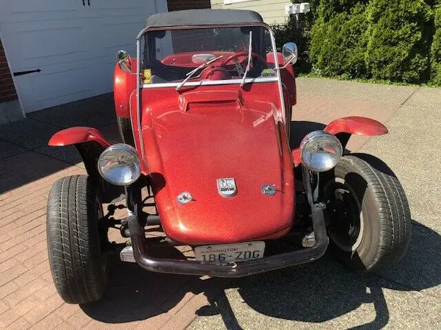 1965 Volkswagen Thing