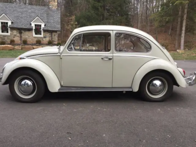 1965 Volkswagen Beetle - Classic