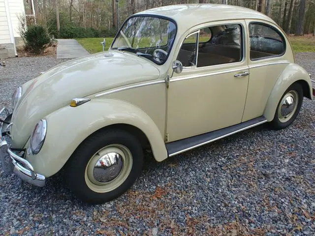 1965 Volkswagen Beetle - Classic