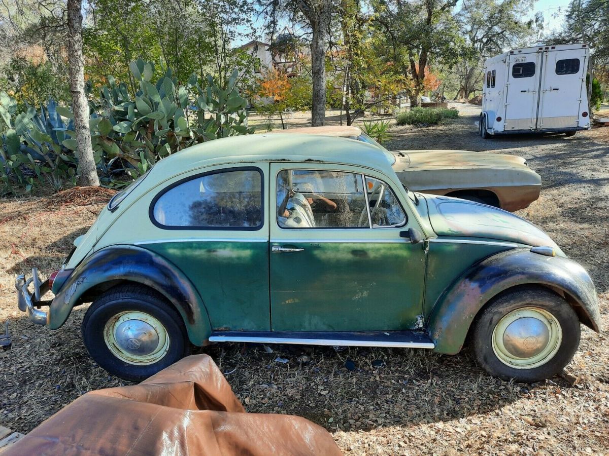 1965 Volkswagen Beetle - Classic