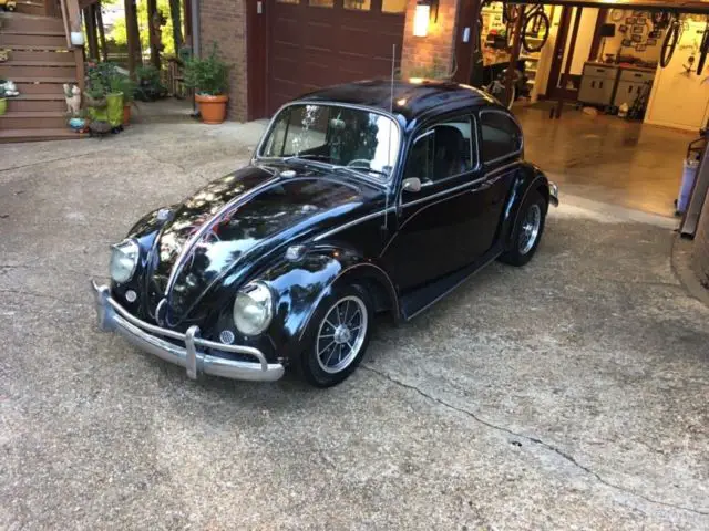 1965 Volkswagen Beetle - Classic