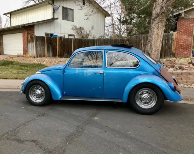 1965 Volkswagen Beetle - Classic beetle