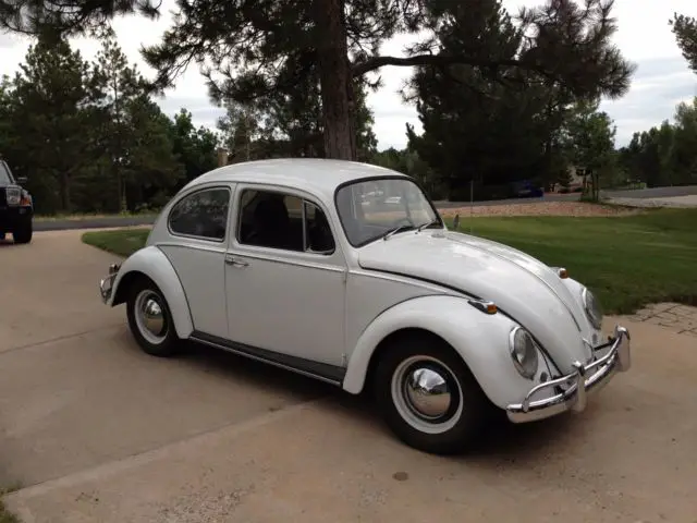 1965 Volkswagen Beetle - Classic