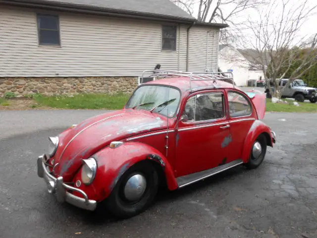 1965 Volkswagen Beetle - Classic hood ride