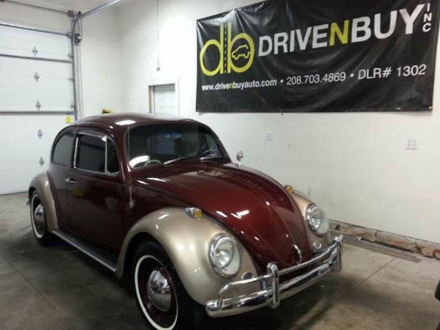 1965 Volkswagen Beetle - Classic