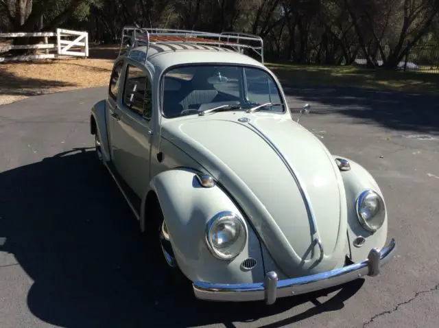 1965 Volkswagen Beetle - Classic